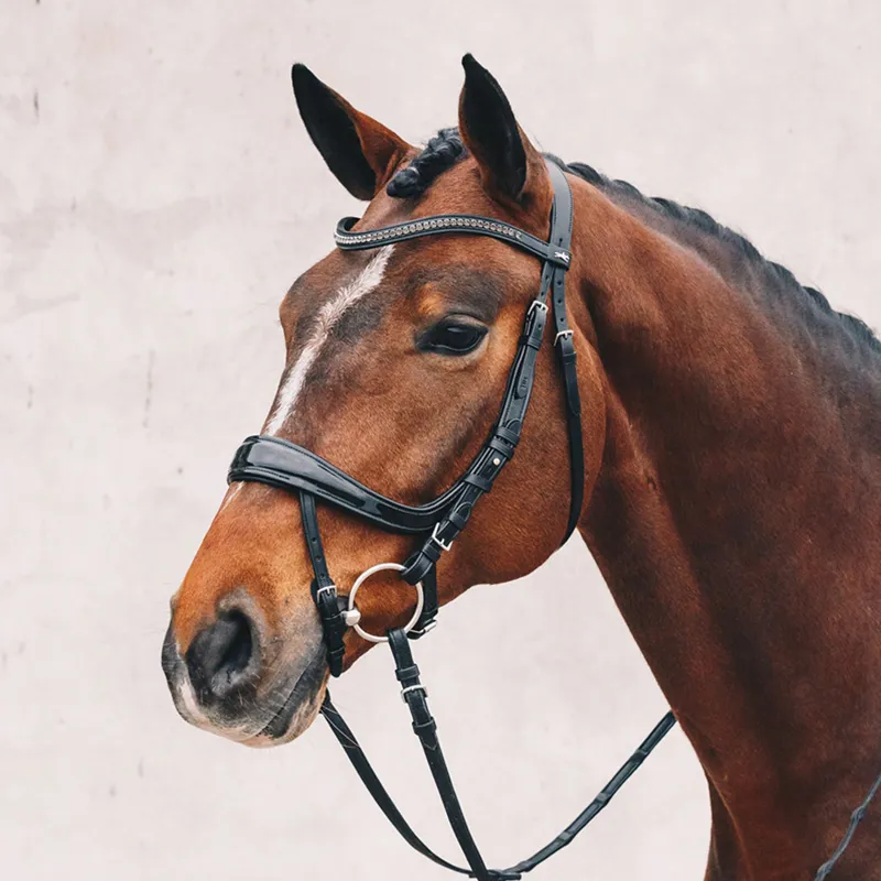 Schockemohle Equitus Beta Patent Bridle - Black-1
